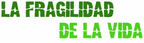 La fragilidad de la vida